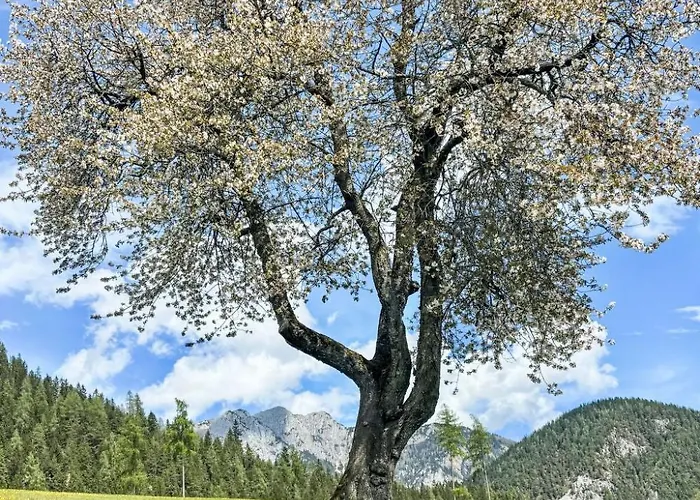 1 By Interhome Ramsau am Dachstein